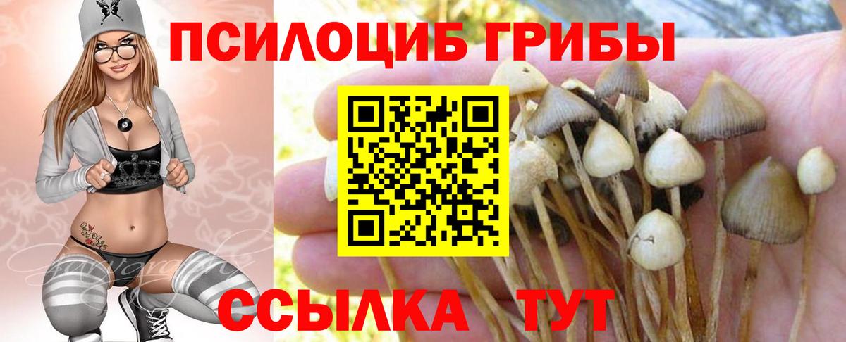 Псилоцибиновые грибы GOLDEN TEACHER  Псилоцибиновые грибы Psilocybine cubensis  Вход с VPN  где можно купить   Ликино-Дулёво 